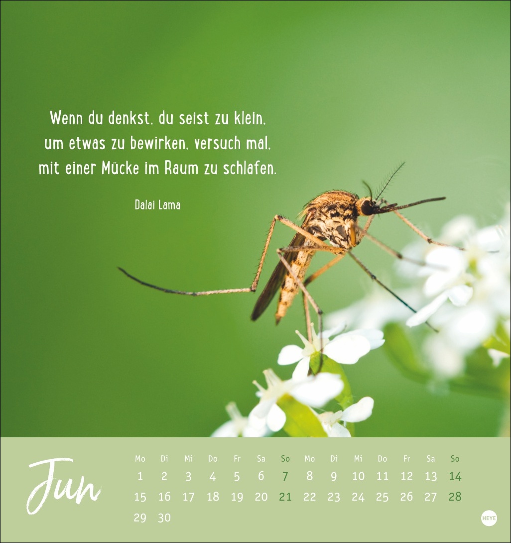 9783756411948_innenansicht_06.jpg