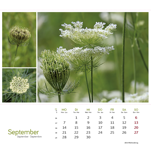 9783861925163_innenansicht_09 9783861925163_innenansicht_09.jpg