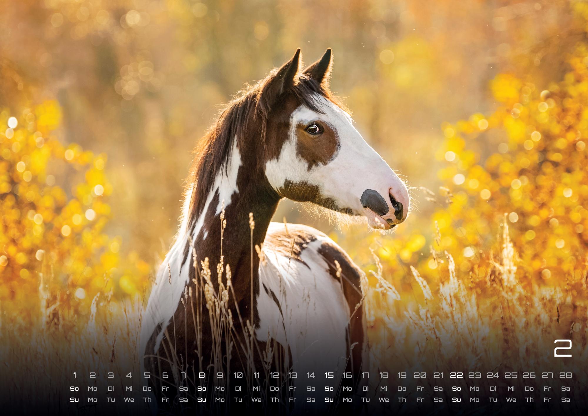 9783986735654_innenansicht_02 9783986735654_innenansicht_02.jpg