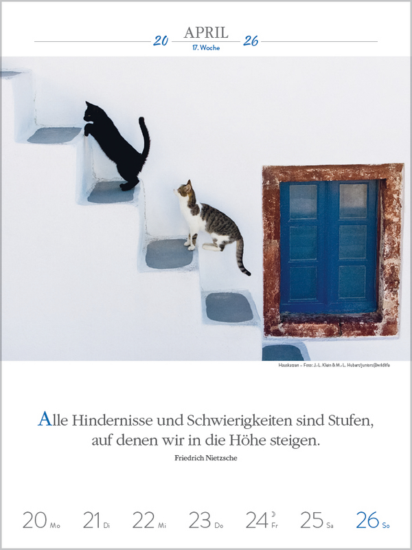 9783731884354_innenansicht_03.jpg