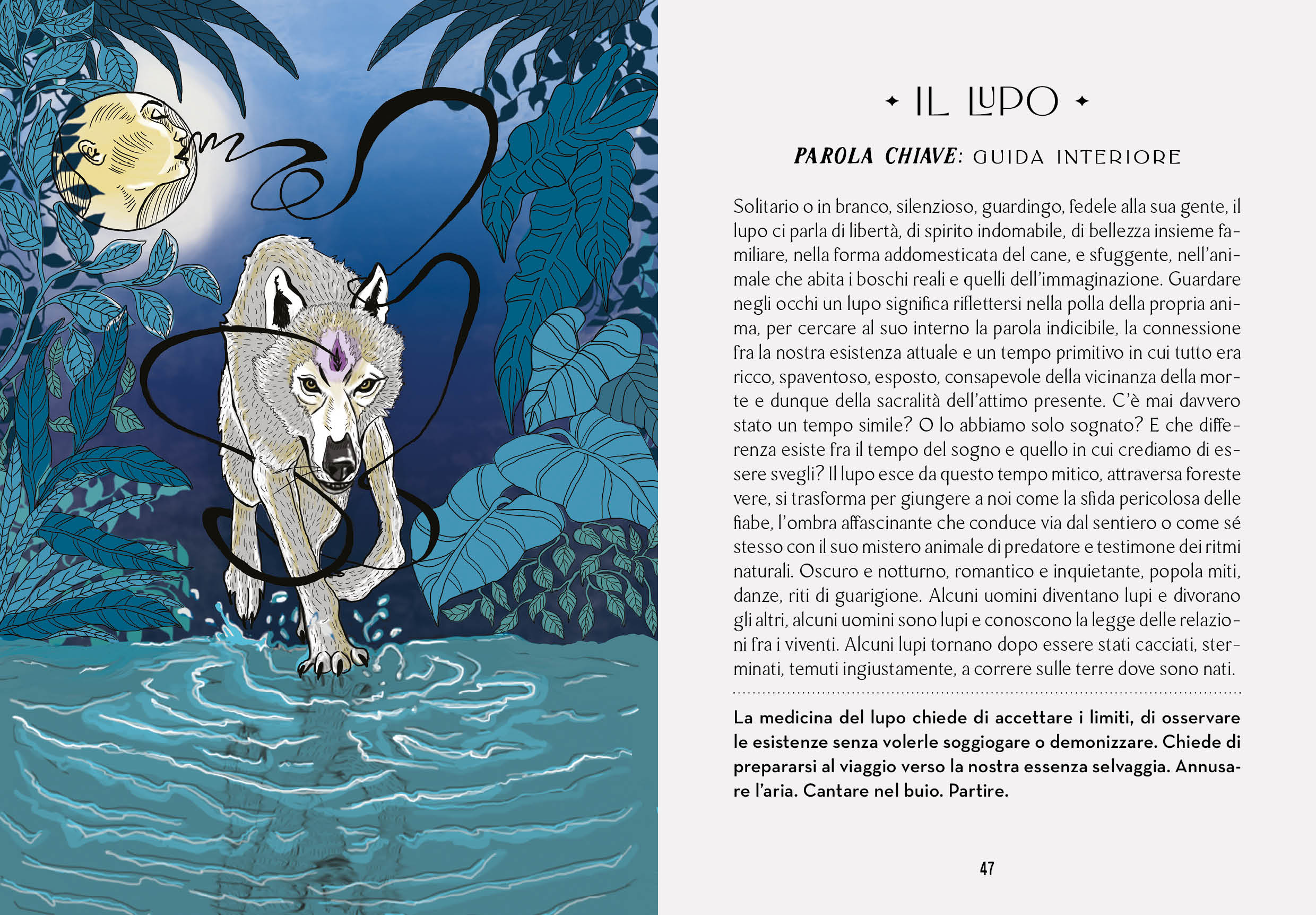 9788863126136_innenansicht_06 9788863126136_innenansicht_06.jpg