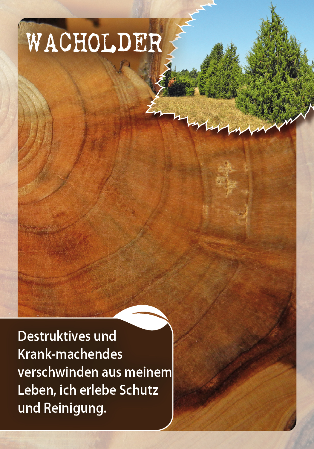 9783843491846_innenansicht_06.jpg