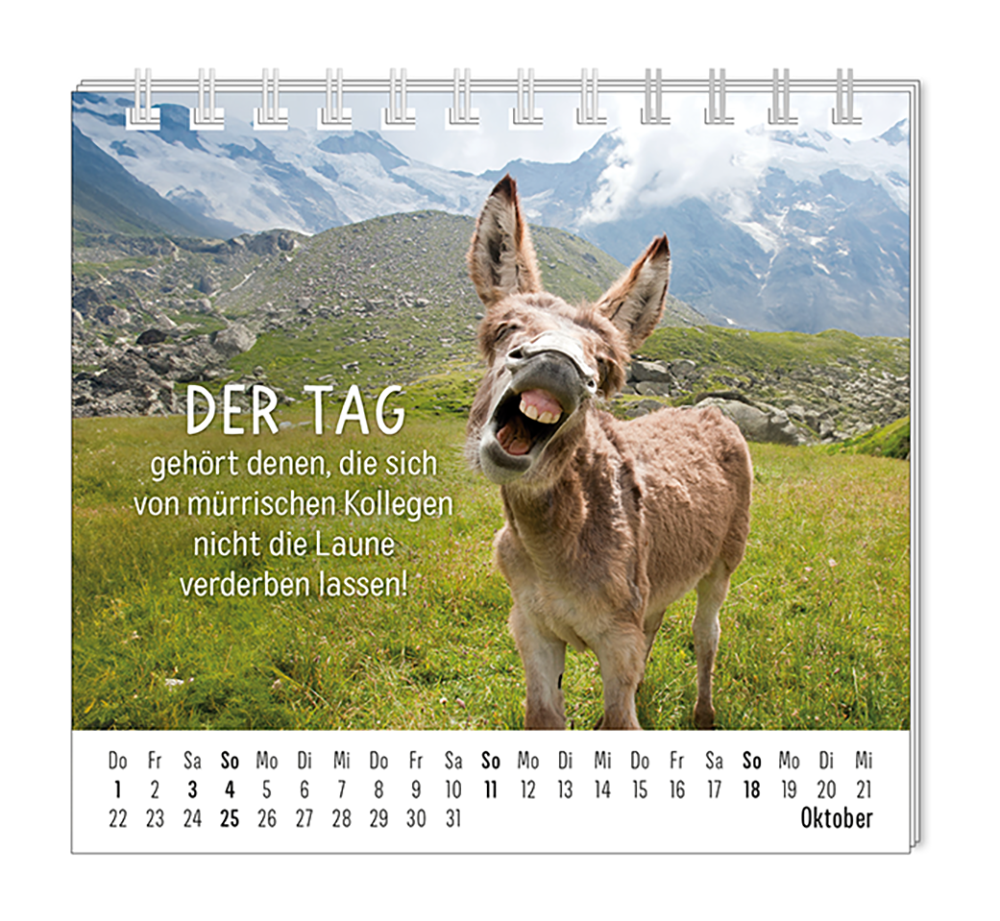 9783986361938_innenansicht_10.png