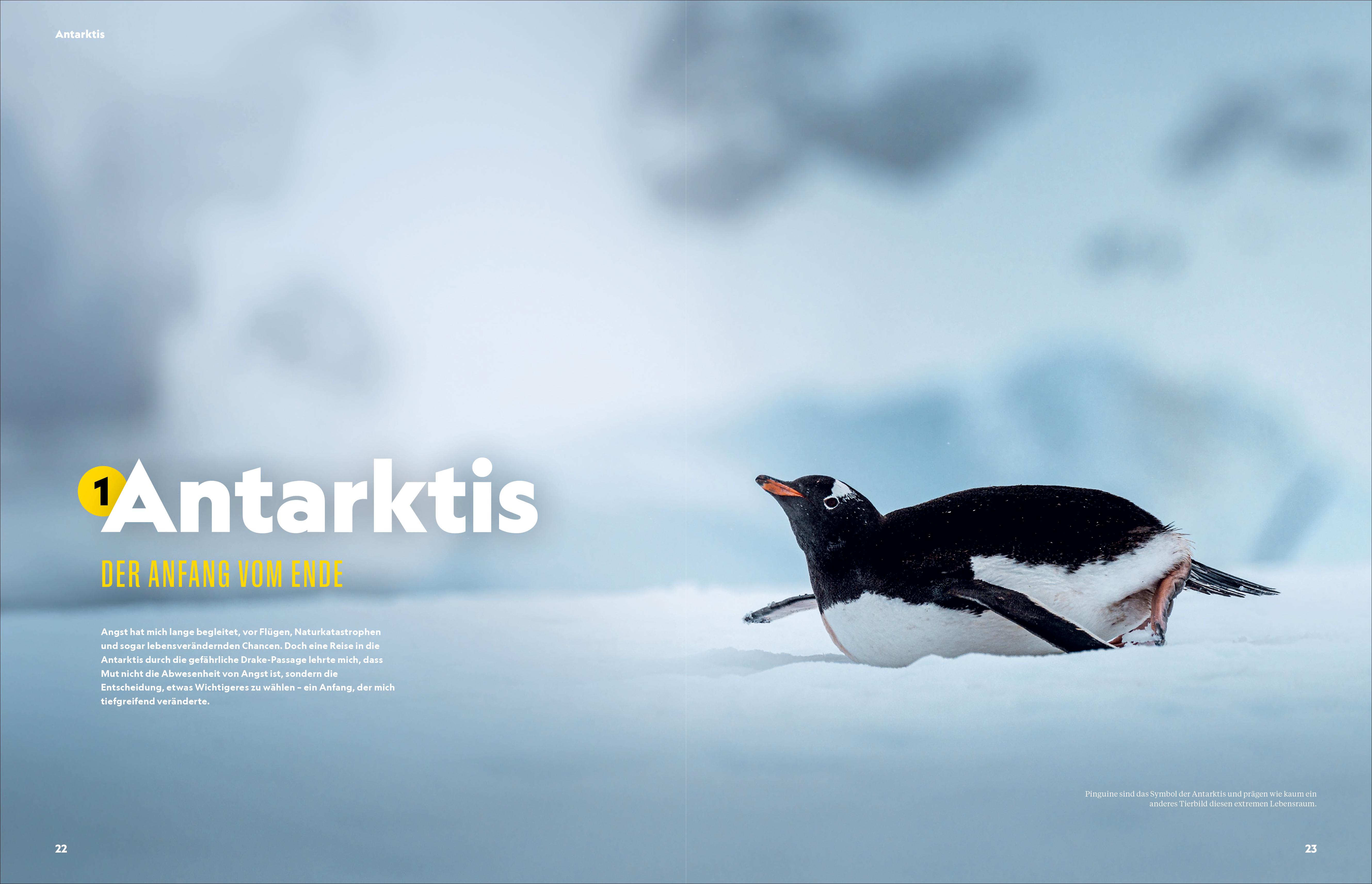 9783987011139_innenansicht_09 9783987011139_innenansicht_09.jpg