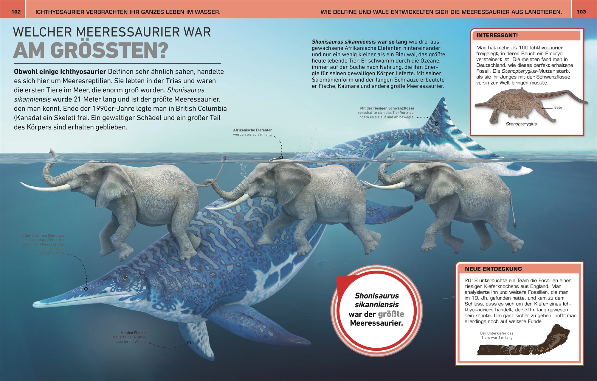 9783831047390_innenansicht_03 9783831047390_innenansicht_03.jpg