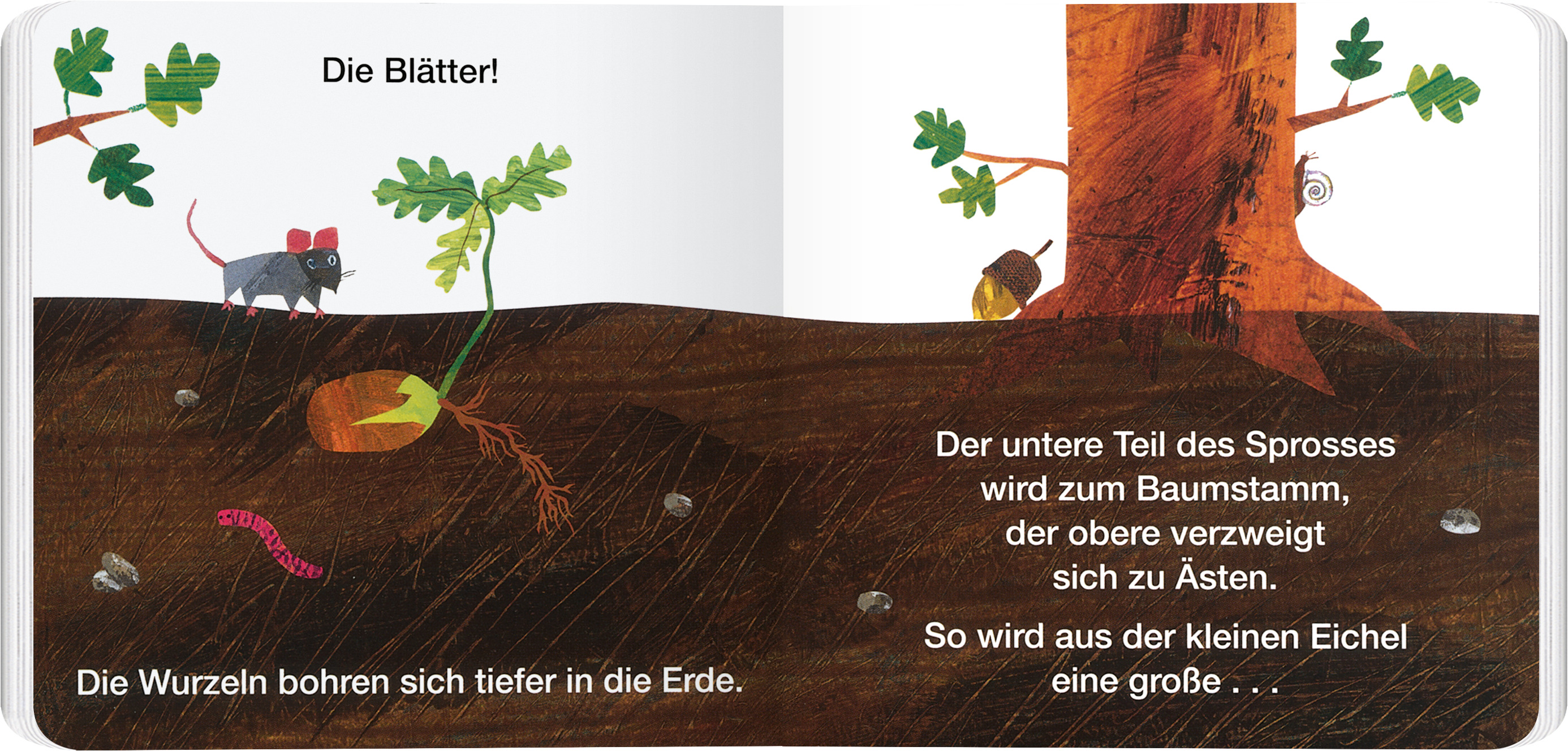 9783836962971_innenansicht_01 9783836962971_innenansicht_01.jpg