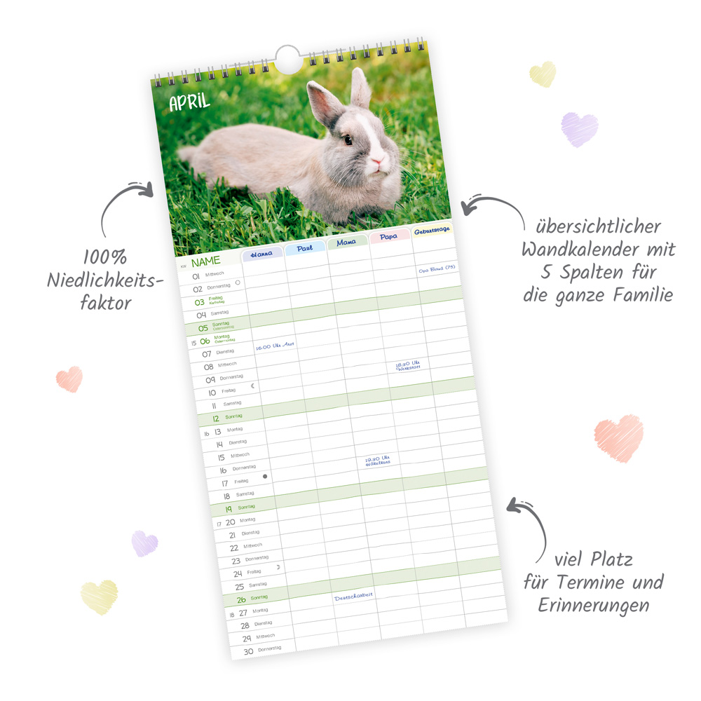 9783988023988_innenansicht_02 9783988023988_innenansicht_02.jpg