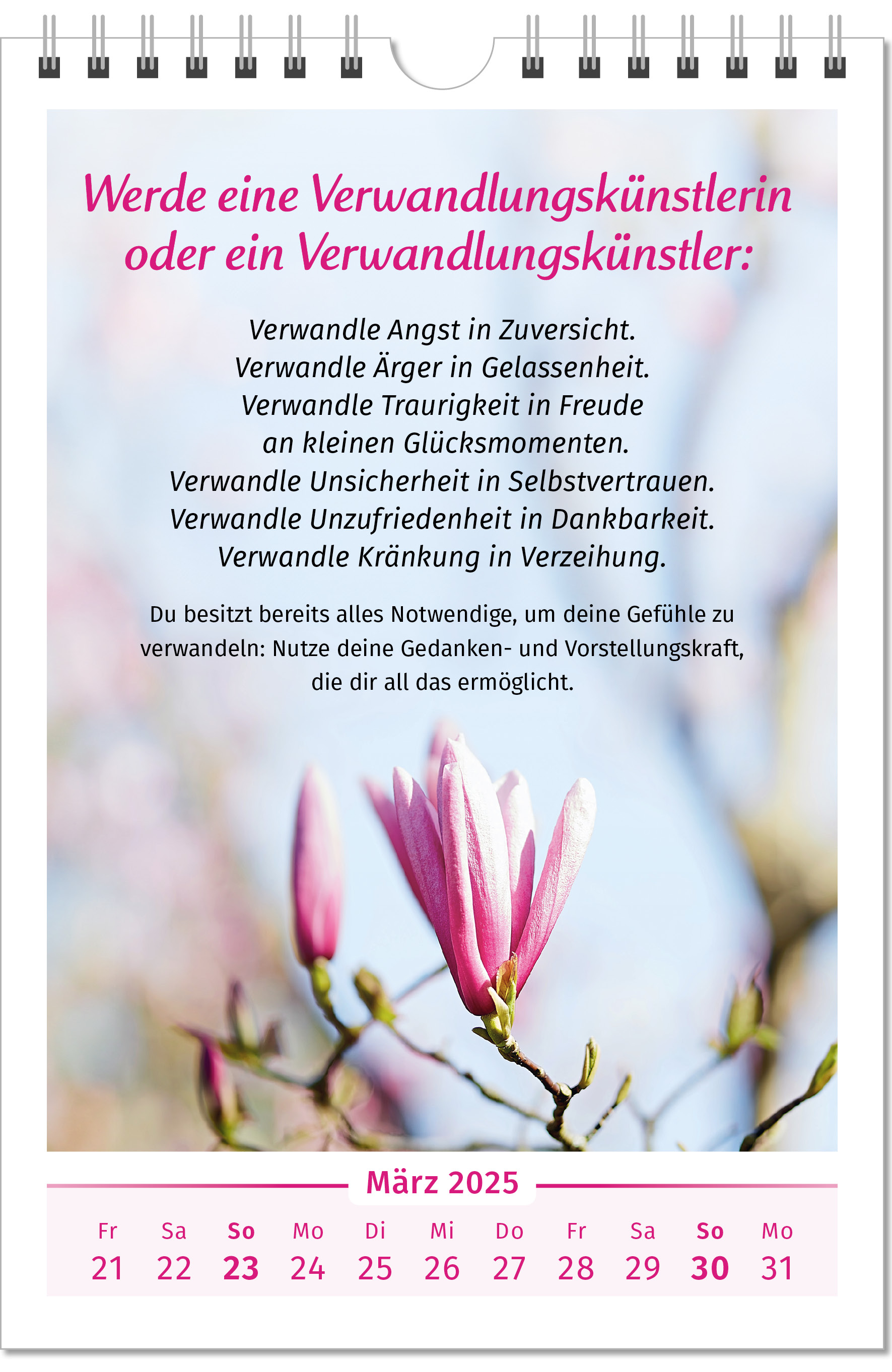 9783910294448_innenansicht_03.jpg