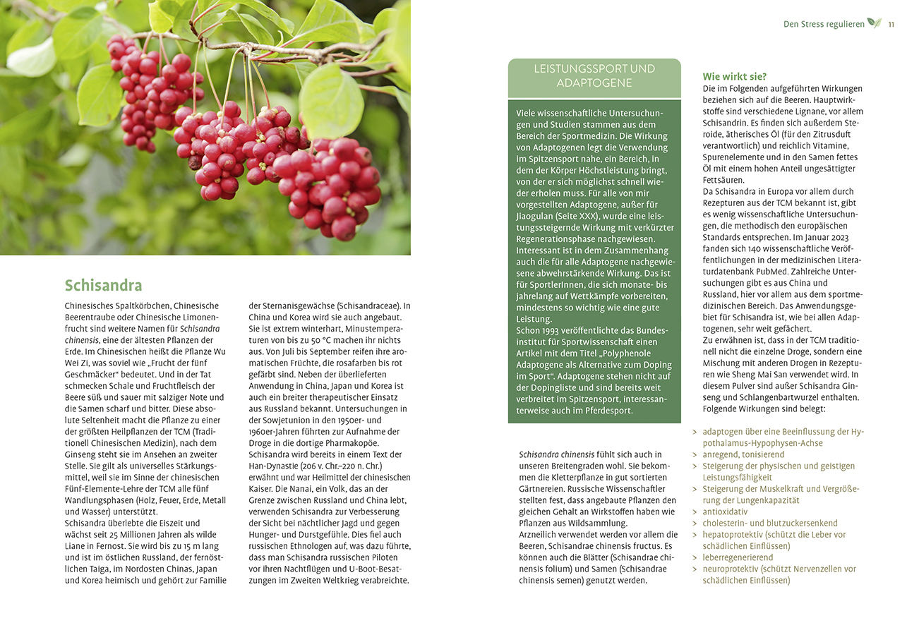 9783818623555_innenansicht_03 9783818623555_innenansicht_03.jpg