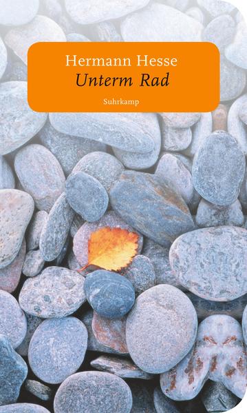 9783518463529 9783518463529