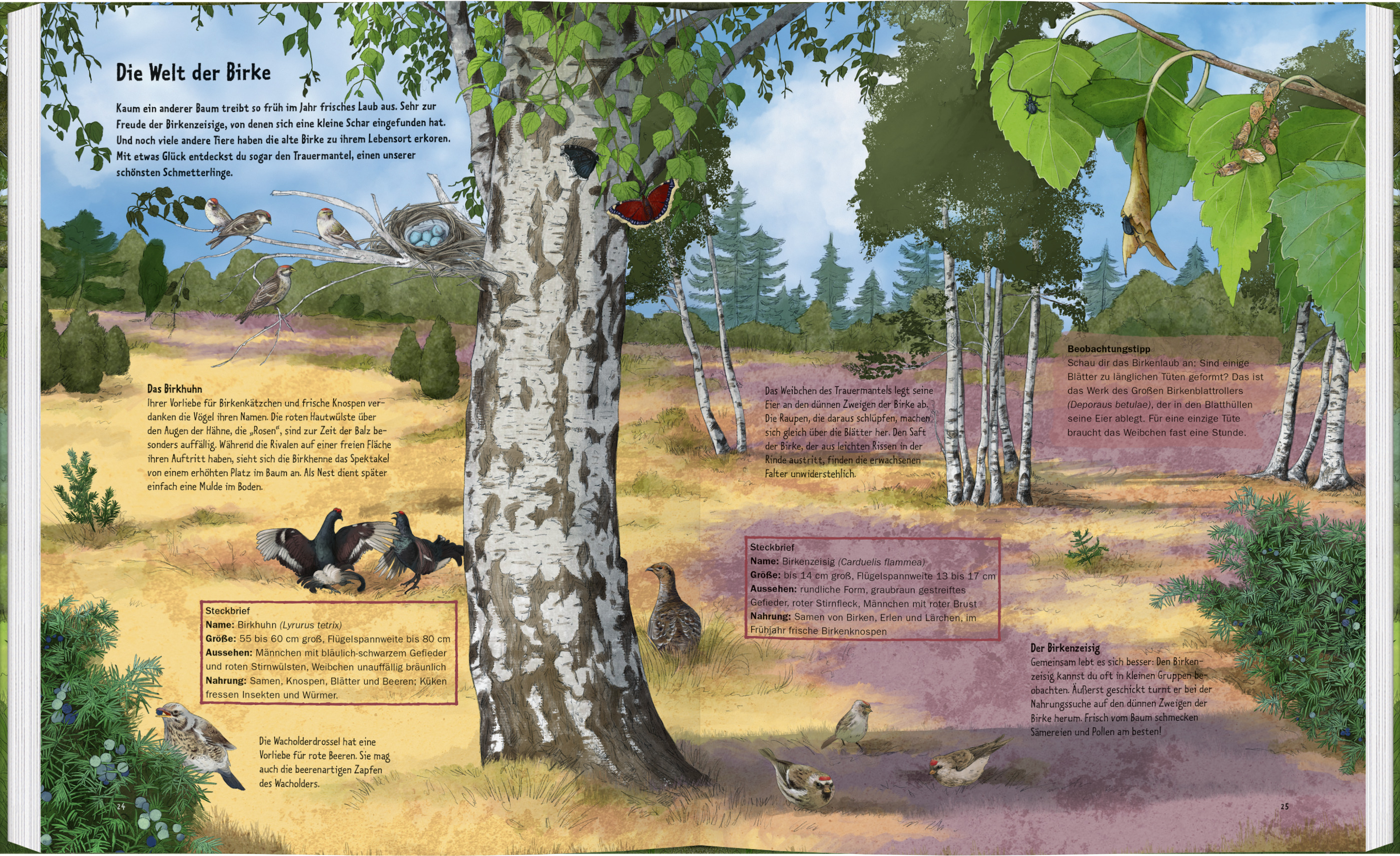 9783836962230_innenansicht_02 9783836962230_innenansicht_02.jpg