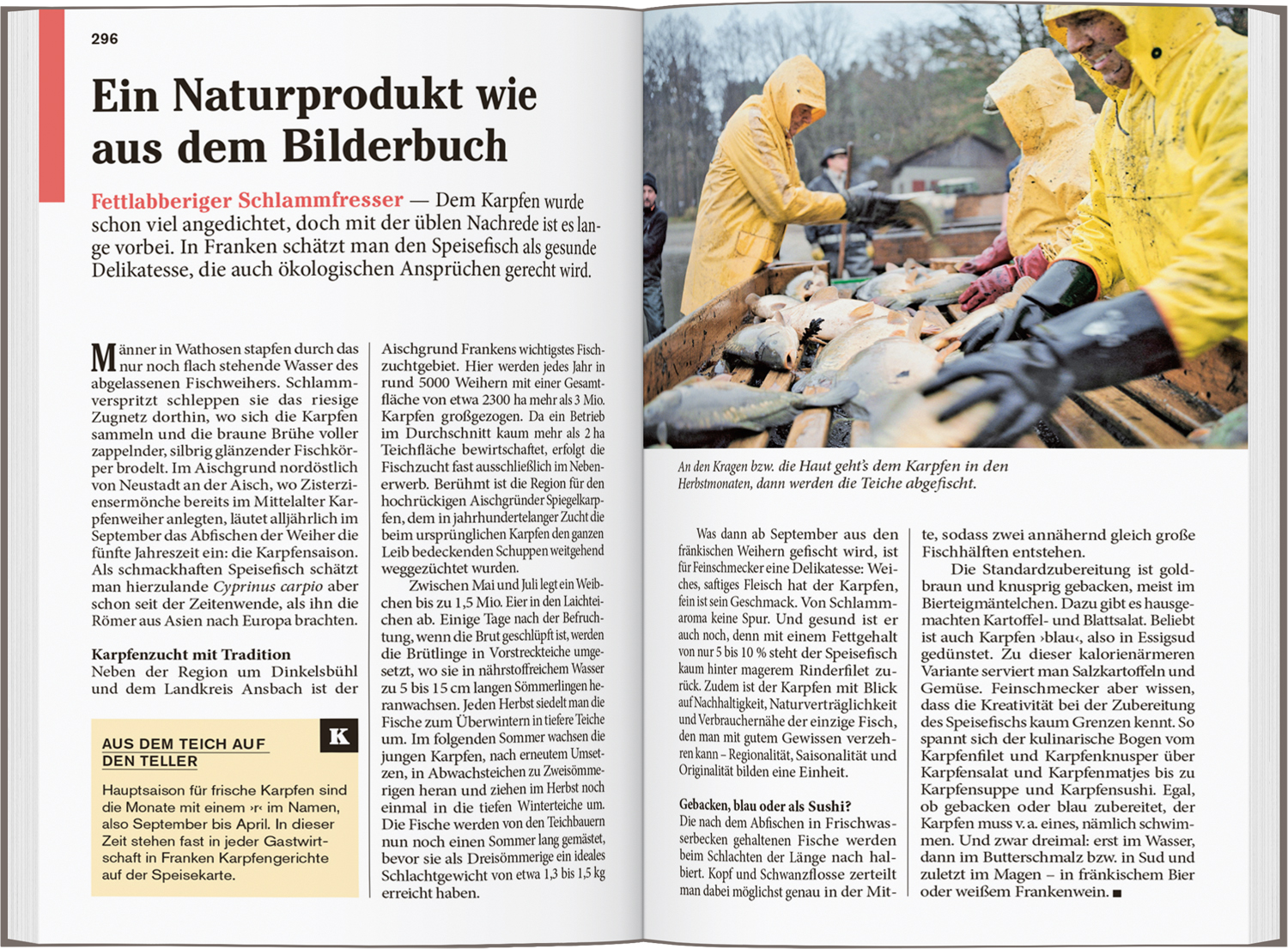 9783616007991_innenansicht_01.jpg