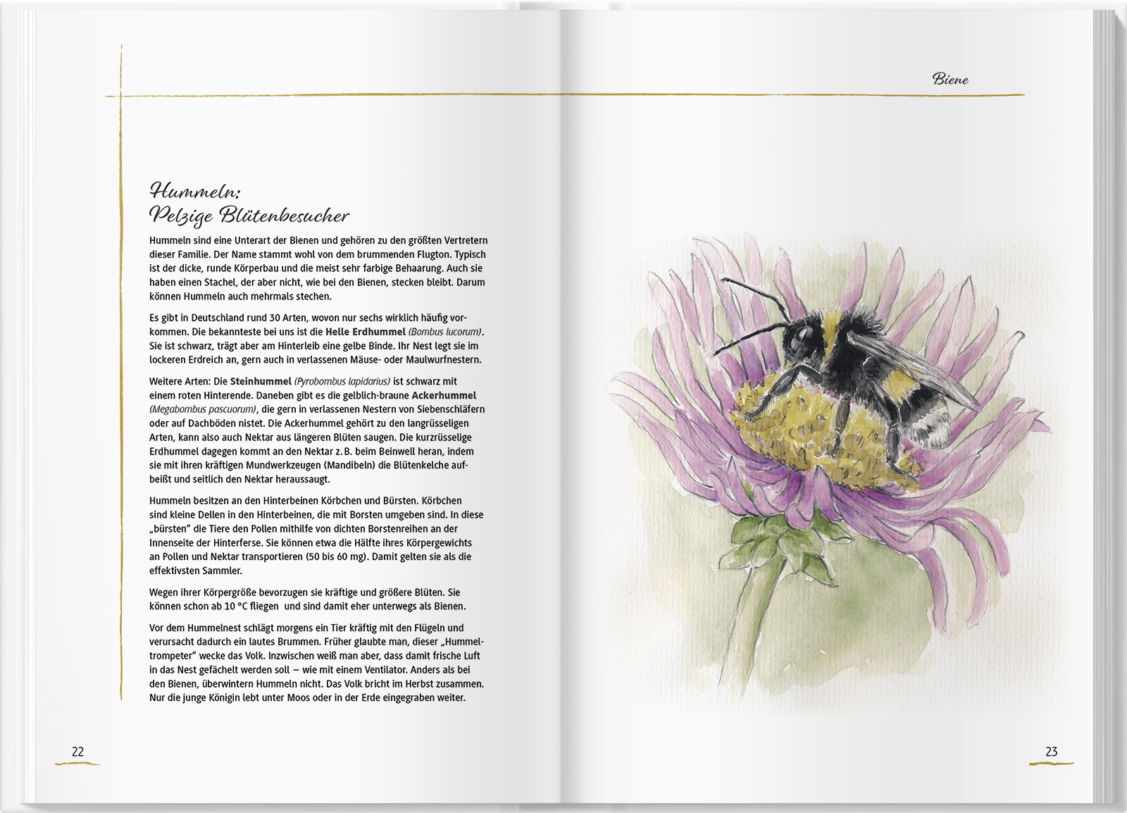 9783784357348_innenansicht_03 9783784357348_innenansicht_03.jpg