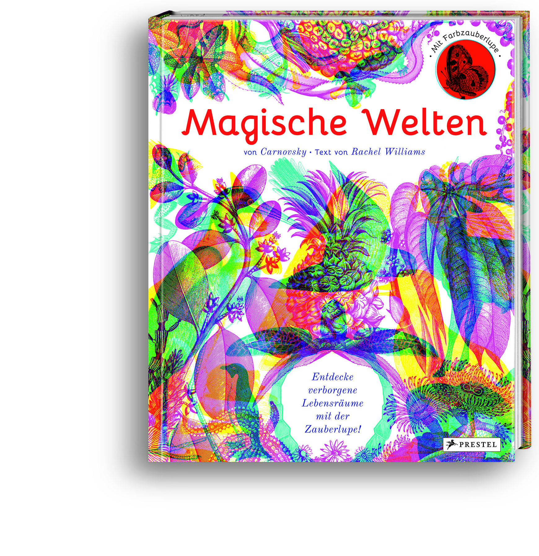 9783791372822_innenansicht_01.jpg
