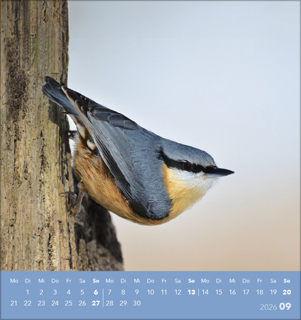 9783731890225_innenansicht_09 9783731890225_innenansicht_09.jpg