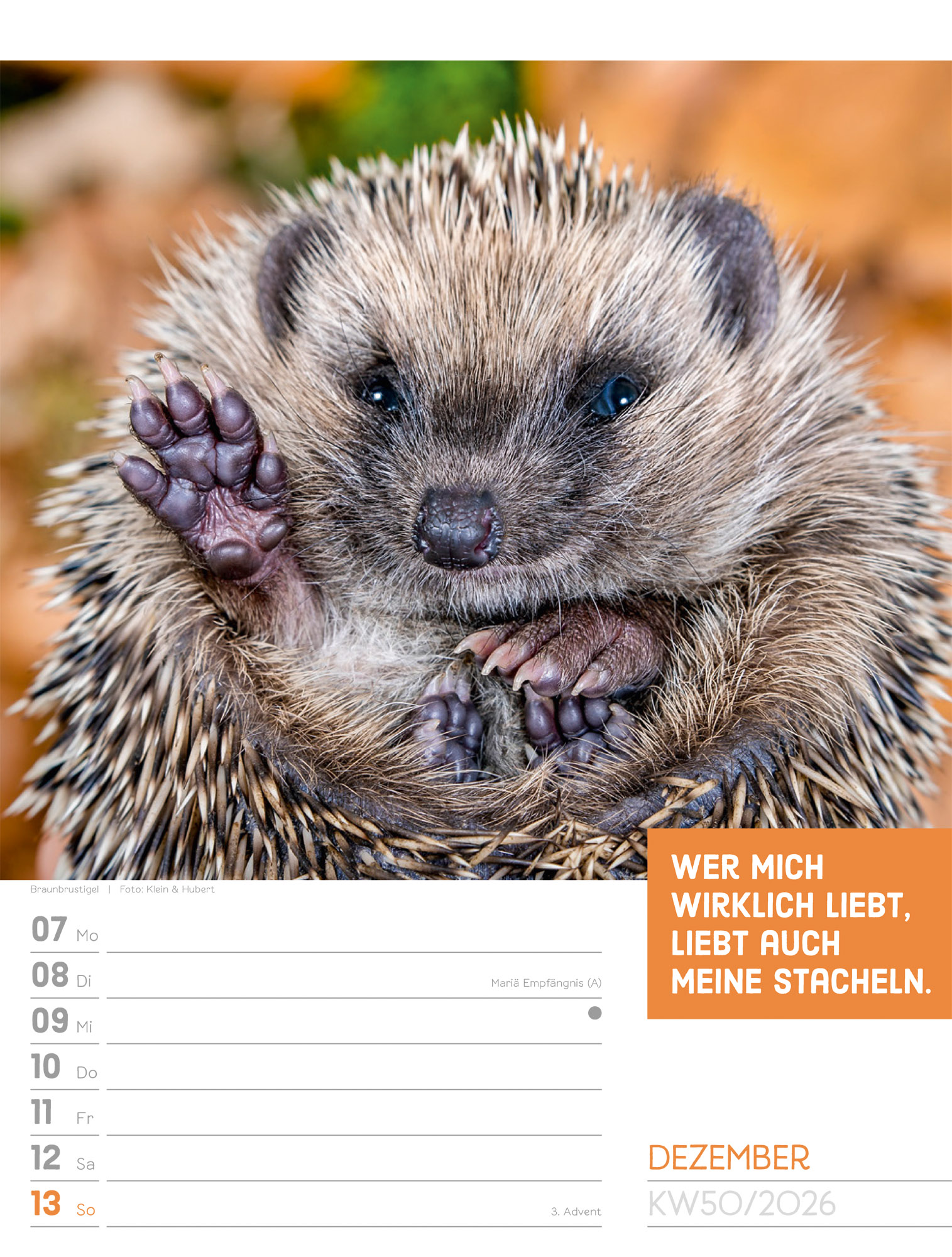 9783838426969_innenansicht_53 9783838426969_innenansicht_53.jpg