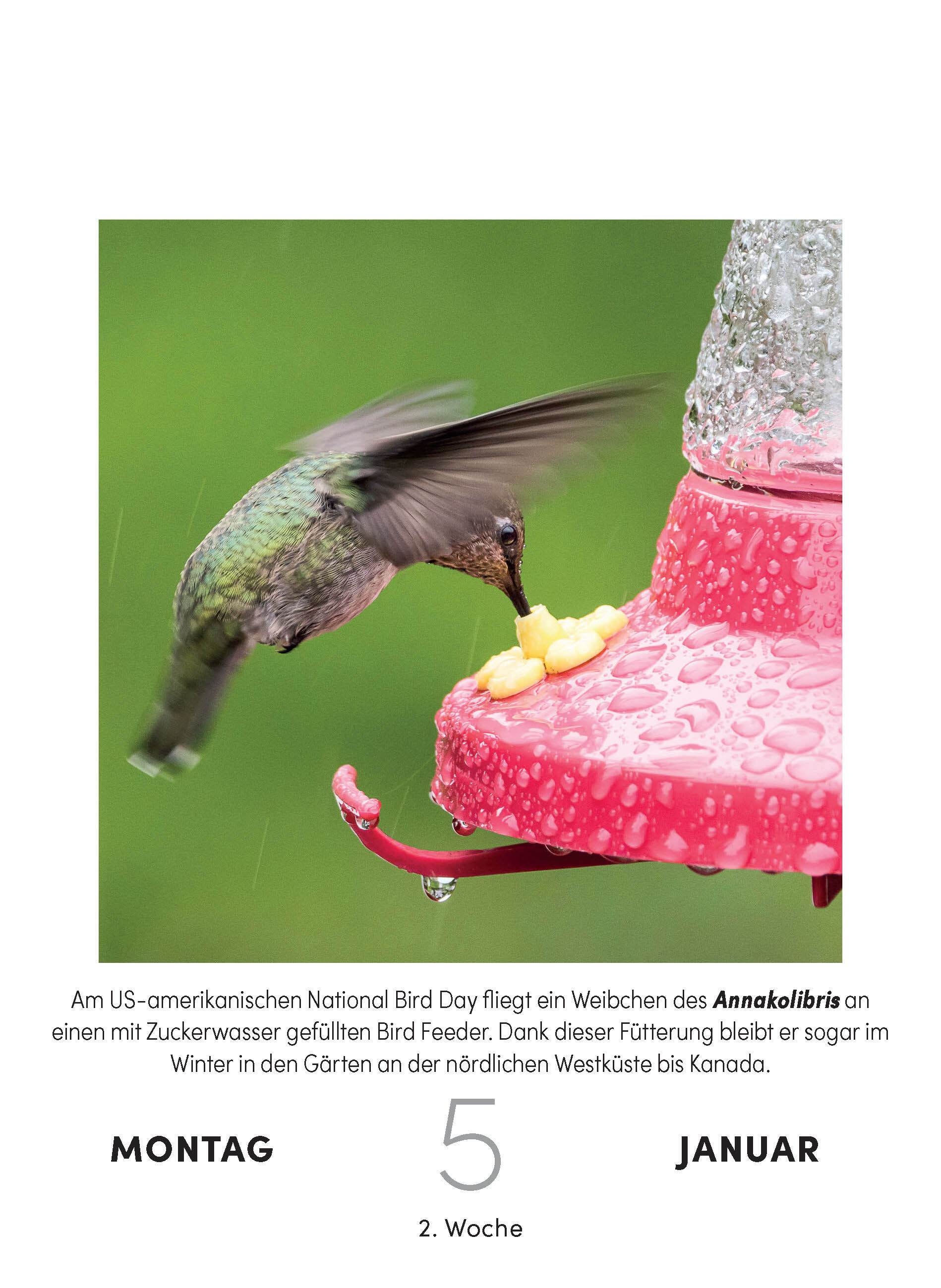 9783517103631_innenansicht_02 9783517103631_innenansicht_02.jpg