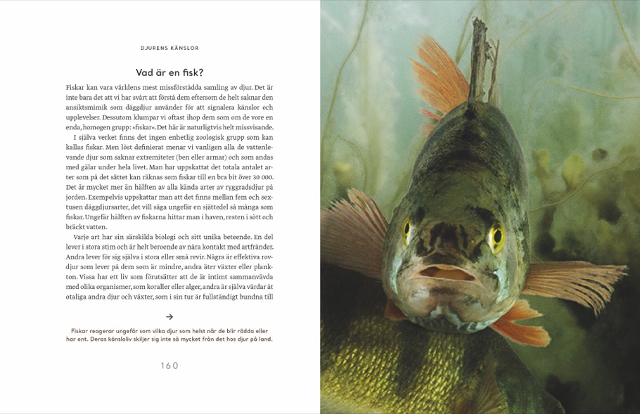 9783866907614_innenansicht_05 9783866907614_innenansicht_05.jpg