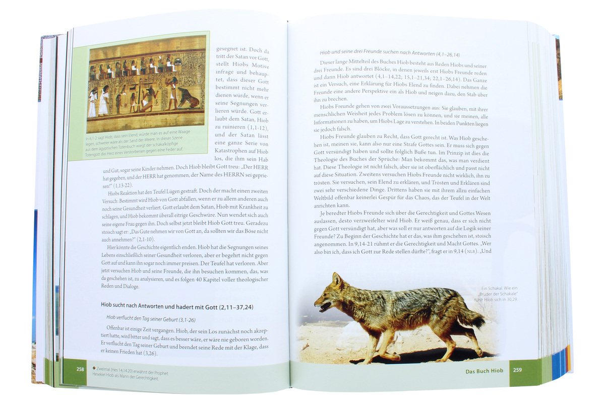 9783417265668_NF_4 9783417265668_NF_4.jpg