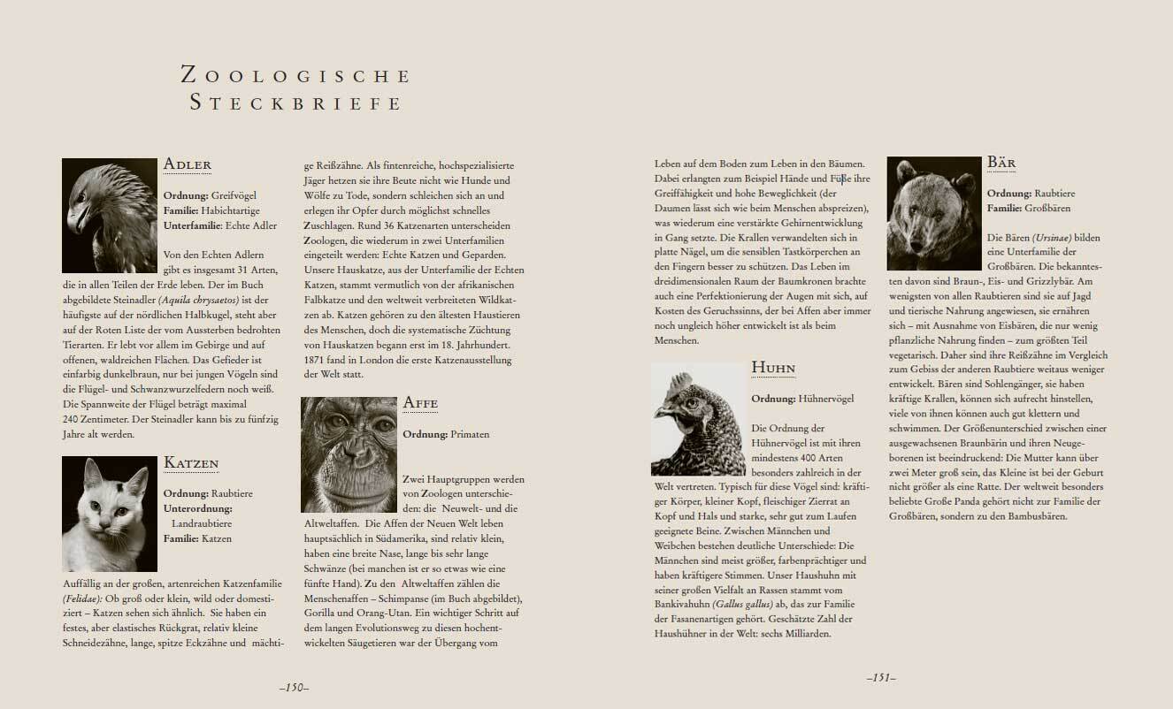 9783809448006_innenansicht_04 9783809448006_innenansicht_04.jpg