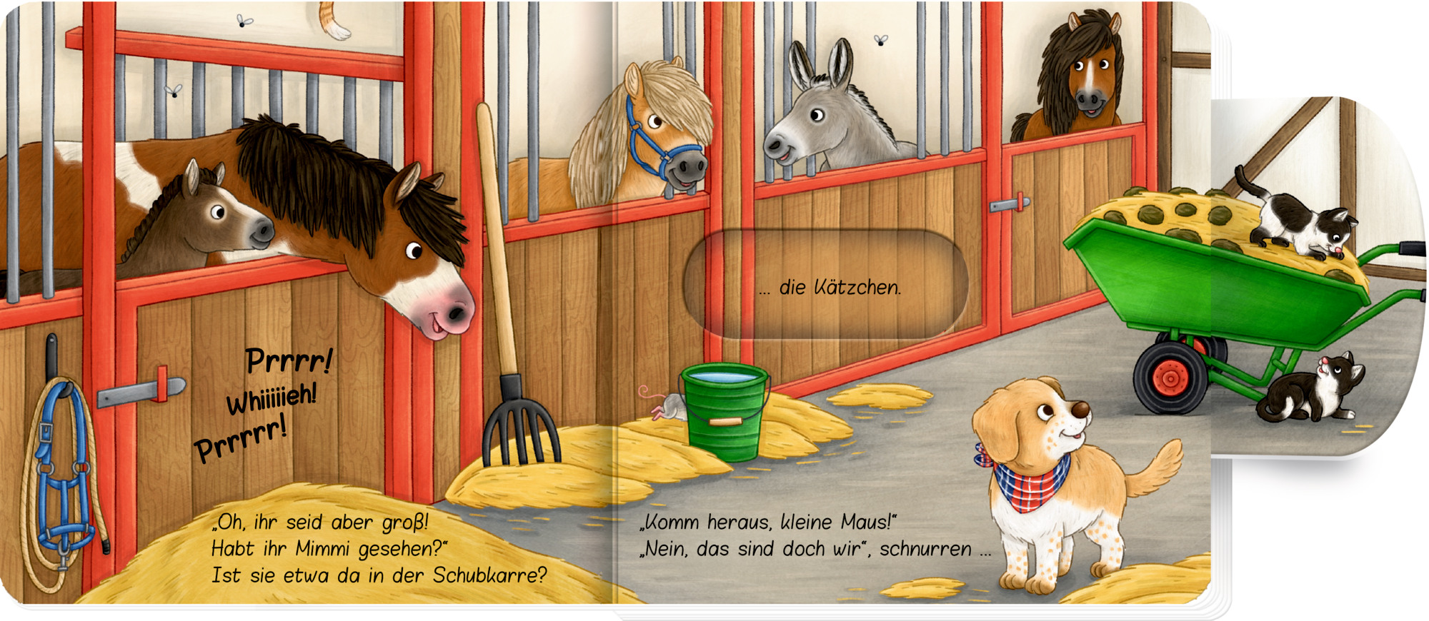 9783649645528_innenansicht_01.jpg