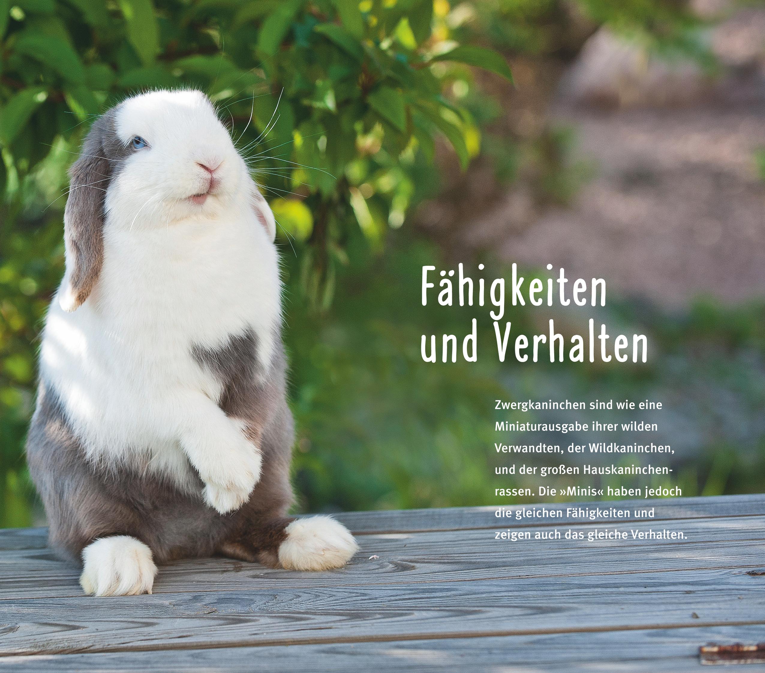 9783833855771_innenansicht_04 9783833855771_innenansicht_04.jpg