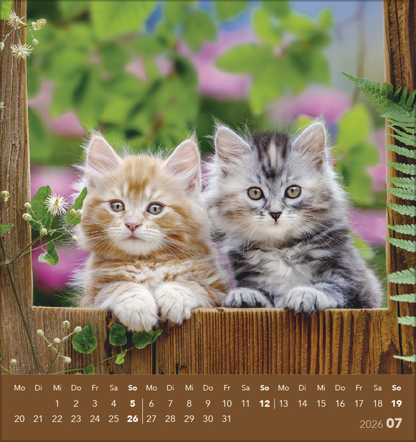 9783731884071_innenansicht_07 9783731884071_innenansicht_07.jpg