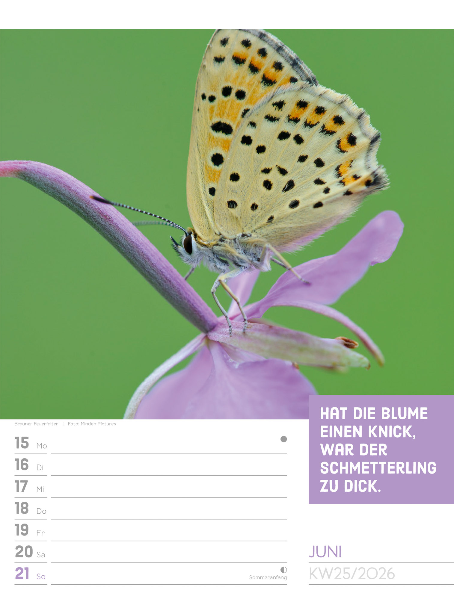 9783838426969_innenansicht_28.jpg