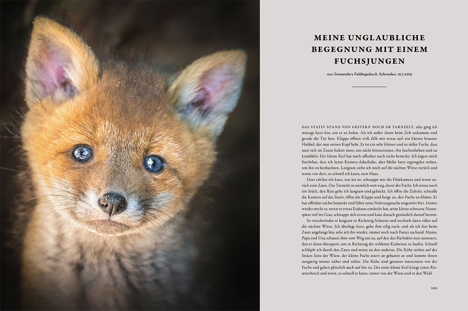 9783440178768_innenansicht_04 9783440178768_innenansicht_04.jpg