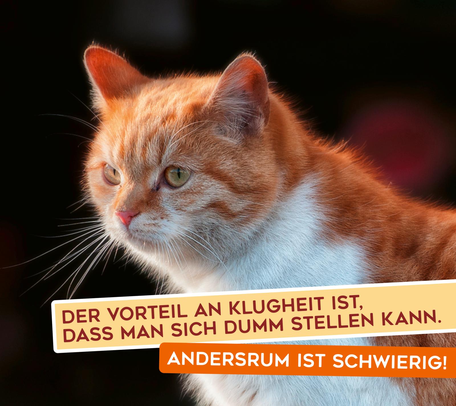 9783830336280_innenansicht_02.jpg