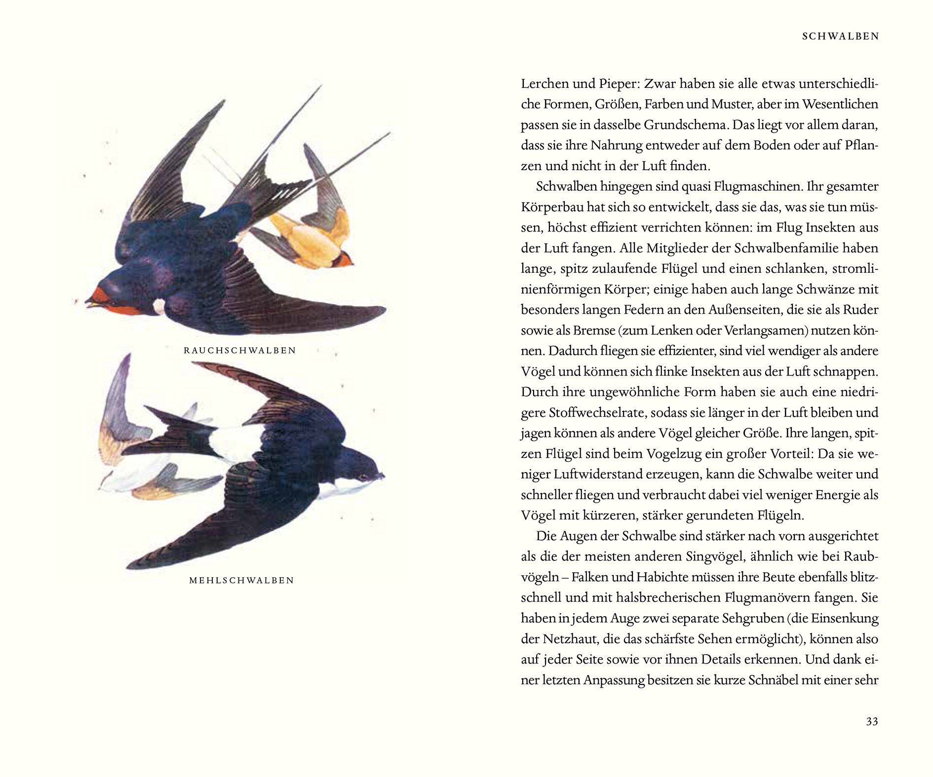 9783832180058_innenansicht_02 9783832180058_innenansicht_02.jpg