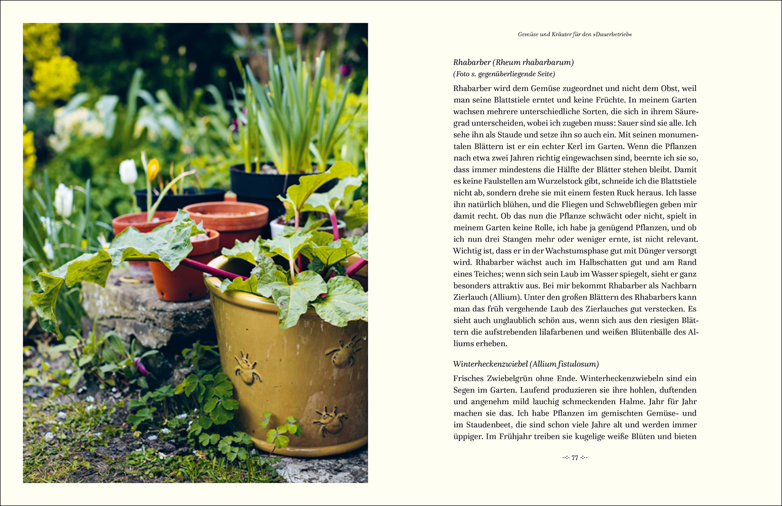 9783458644170_innenansicht_05 9783458644170_innenansicht_05.jpg