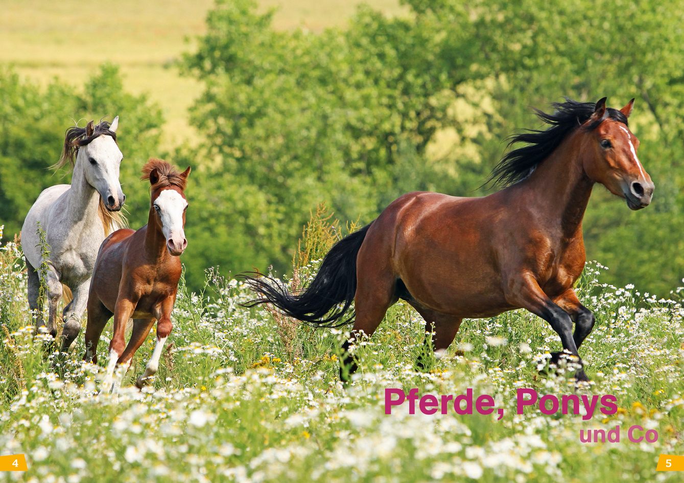 9783788626440_innenansicht_02 9783788626440_innenansicht_02.jpg