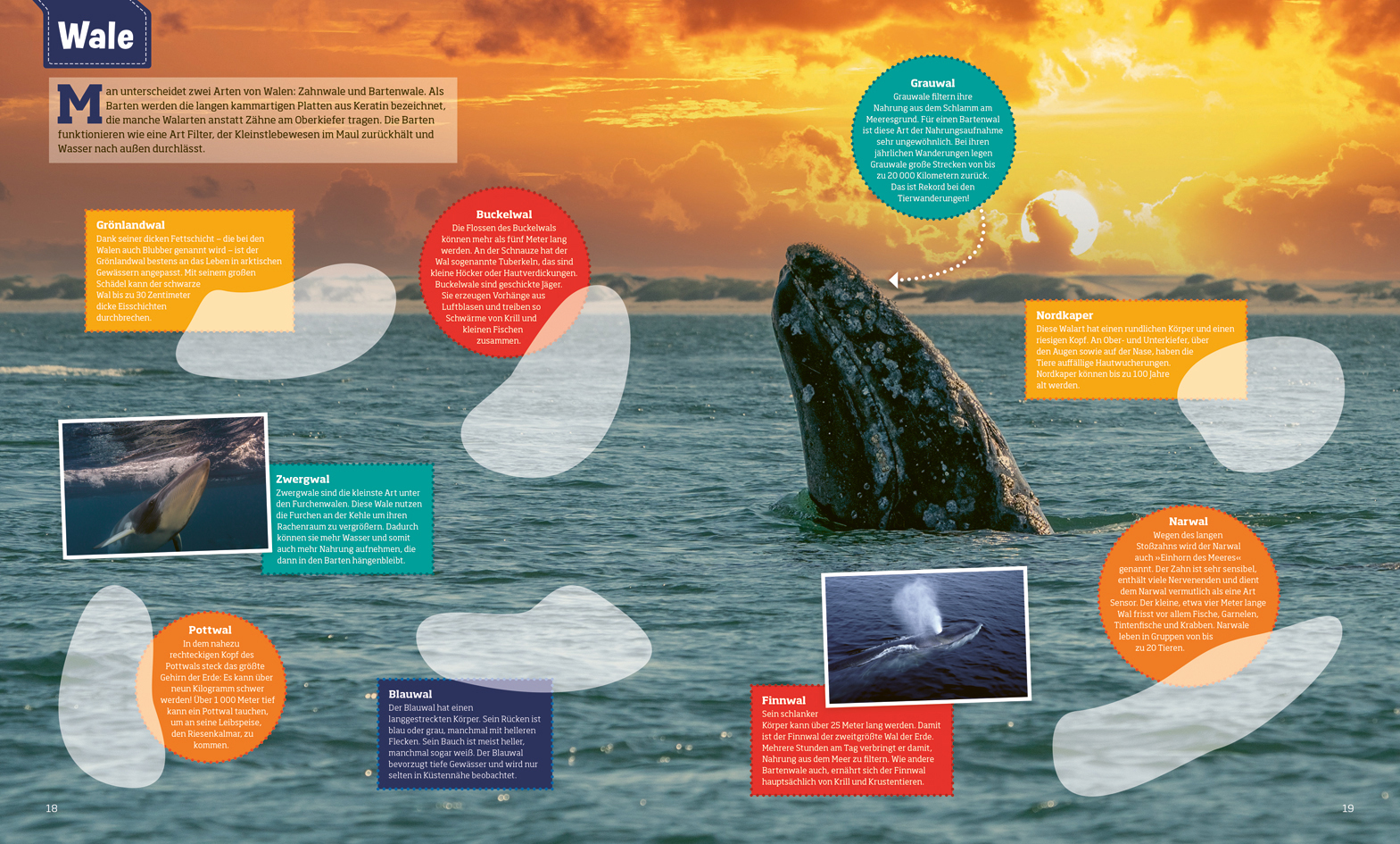 9783788676384_innenansicht_03 9783788676384_innenansicht_03.jpg