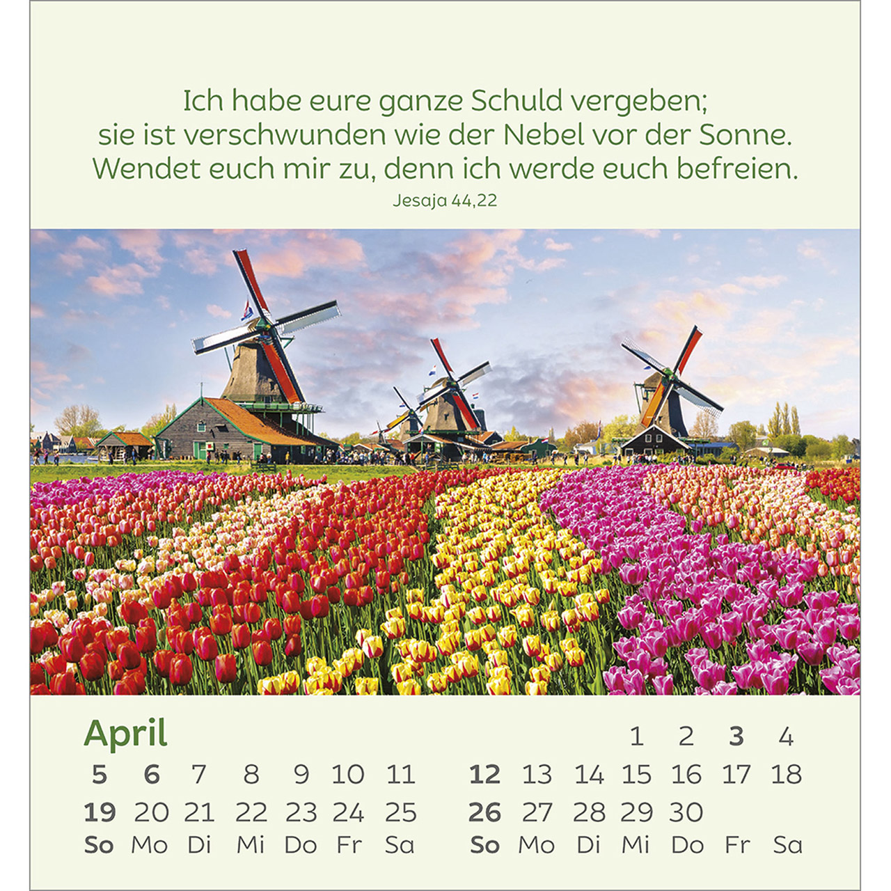 9783754847060_innenansicht_04.jpg