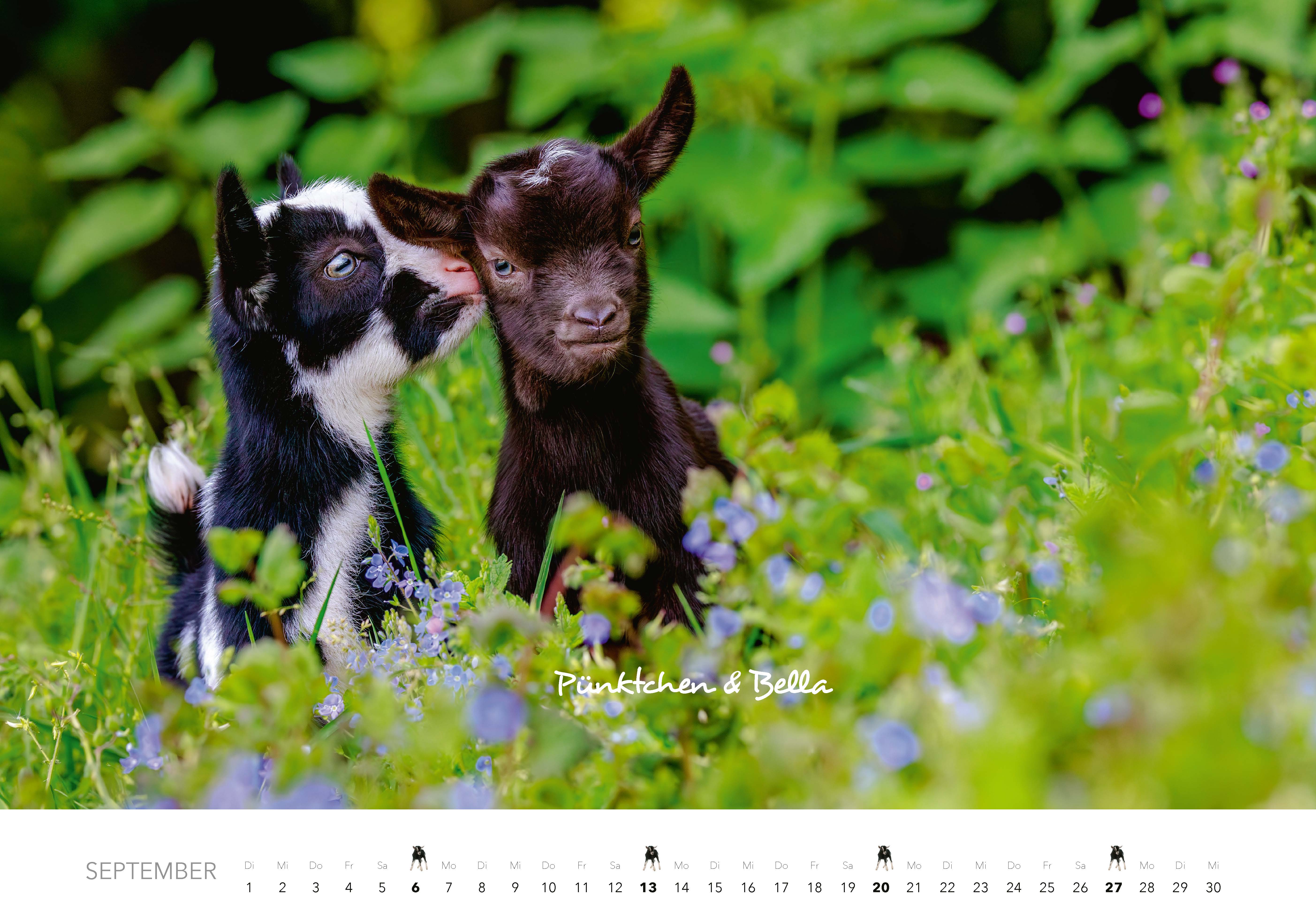 9783966649704_innenansicht_09 9783966649704_innenansicht_09.jpg