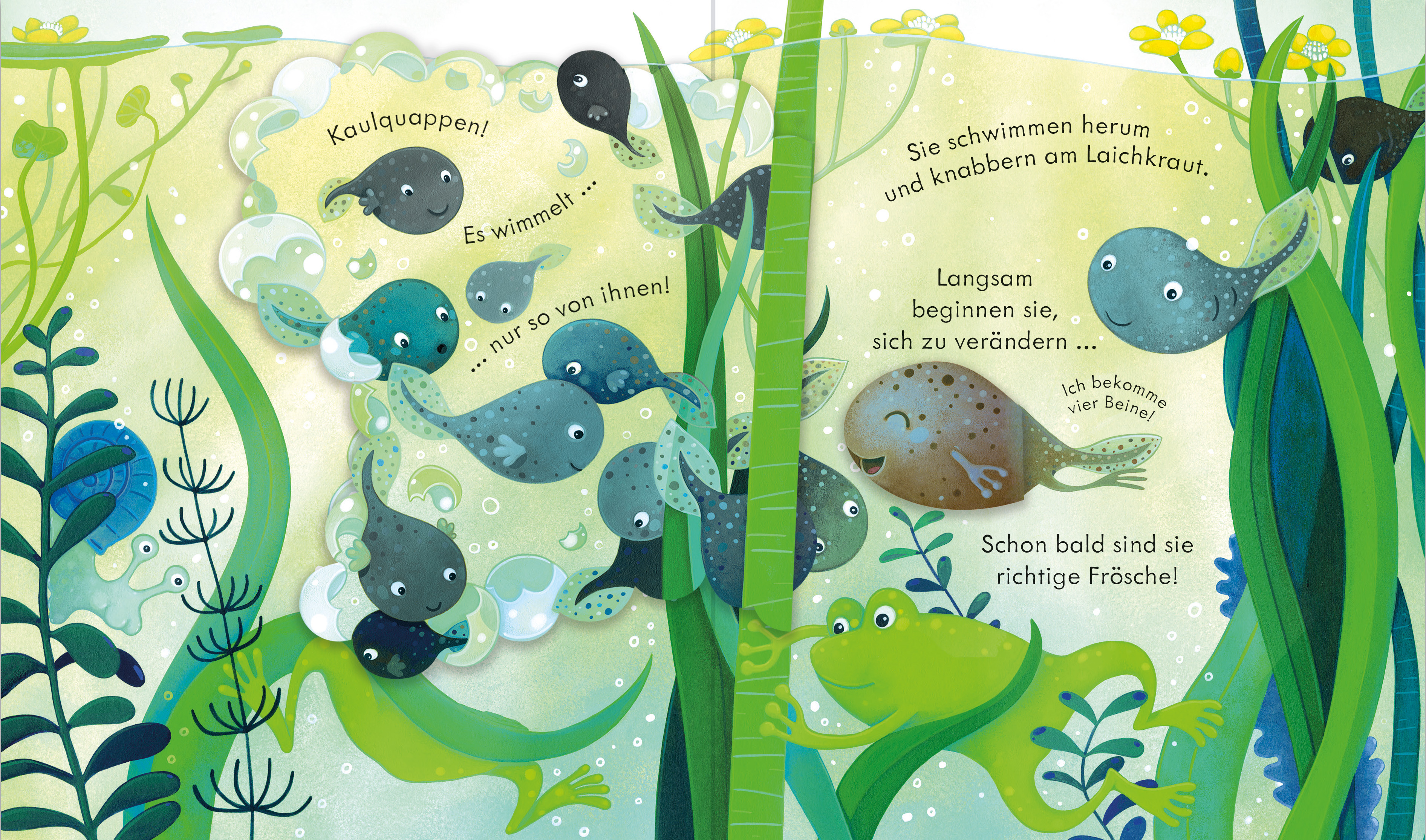 9781035703272_innenansicht_01 9781035703272_innenansicht_01.jpg