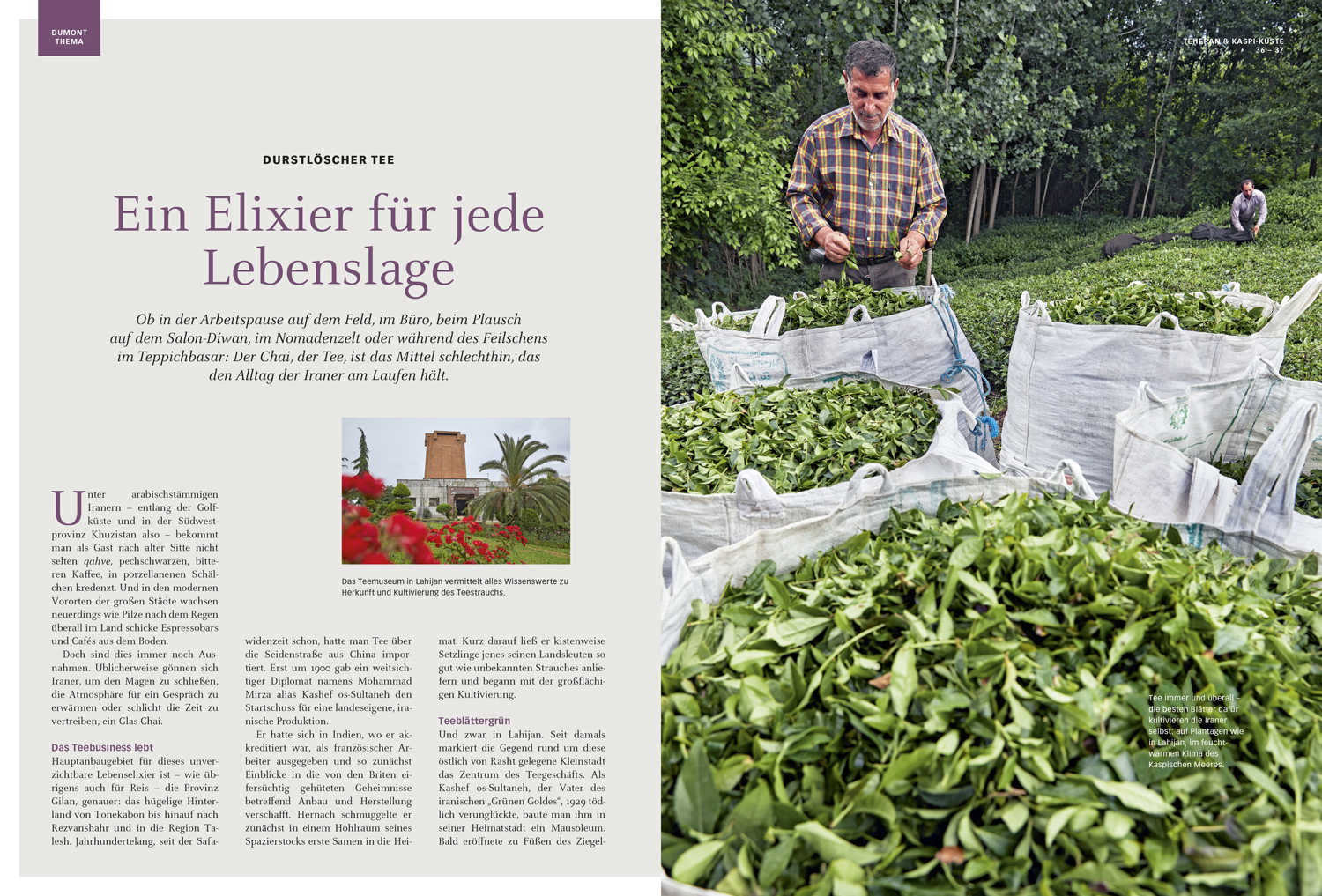 9783770195022_innenansicht_08.jpg