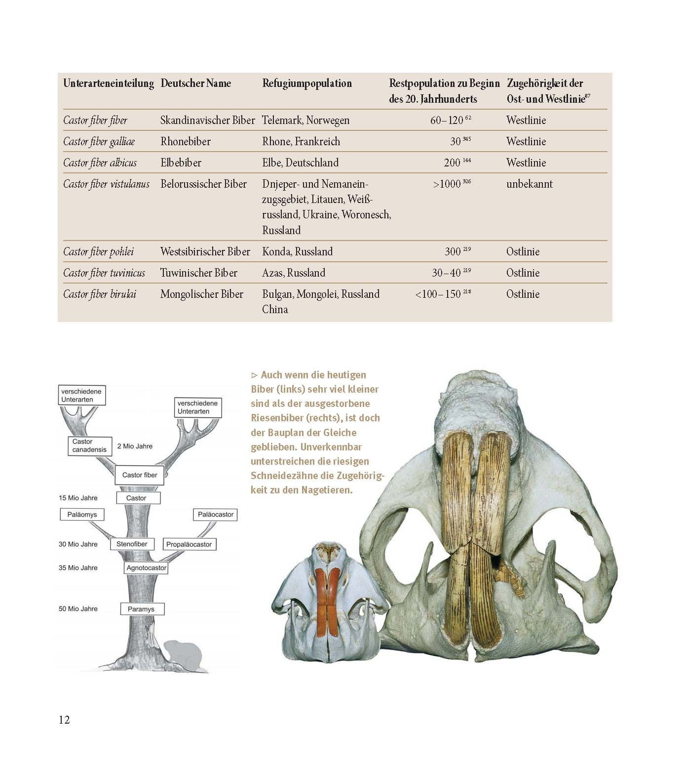 9783955877934_innenansicht_05 9783955877934_innenansicht_05.jpg