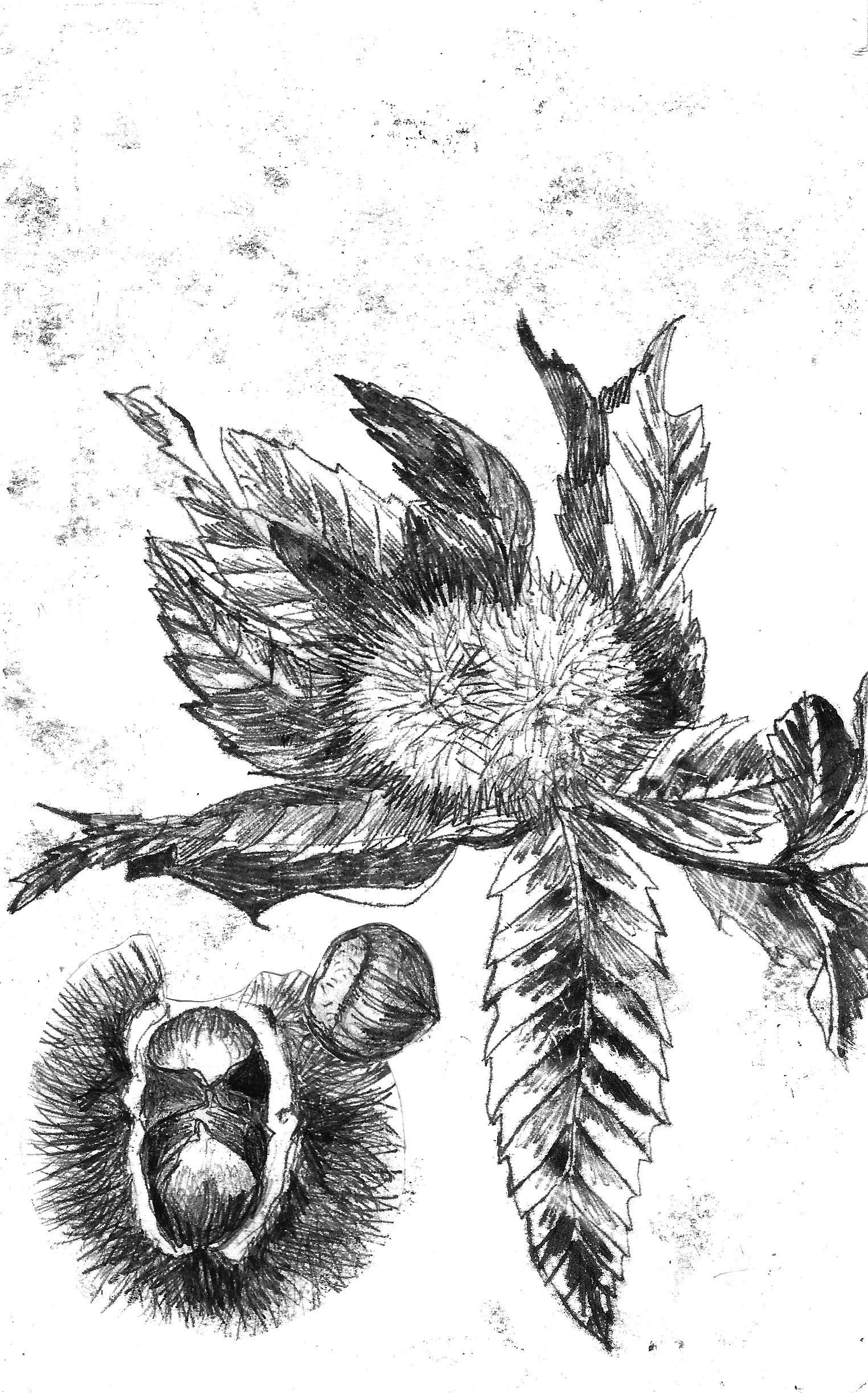 9783990591307_produktbild_02 9783990591307_produktbild_02.jpg