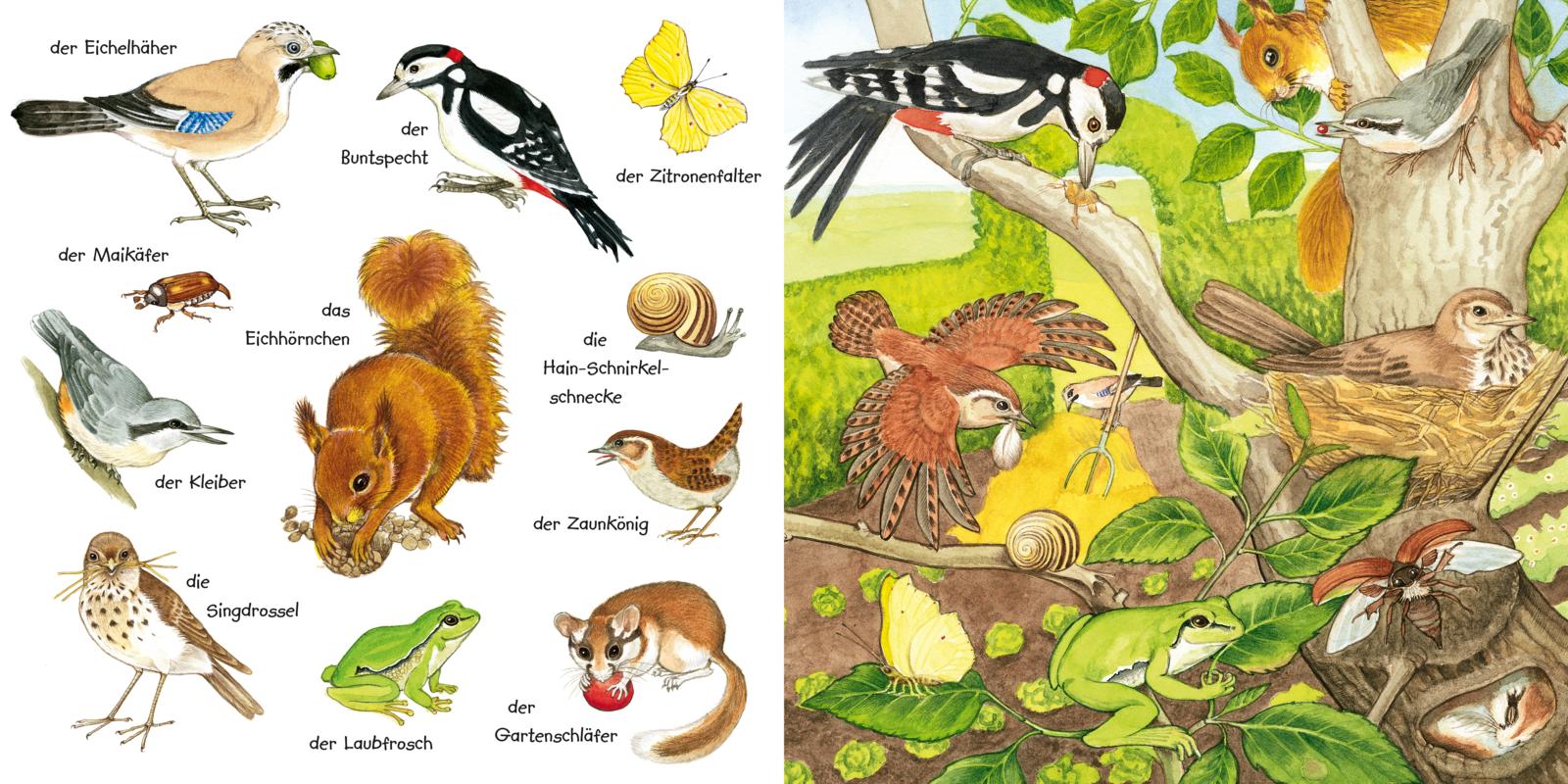 9783551173256_innenansicht_03 9783551173256_innenansicht_03.jpg