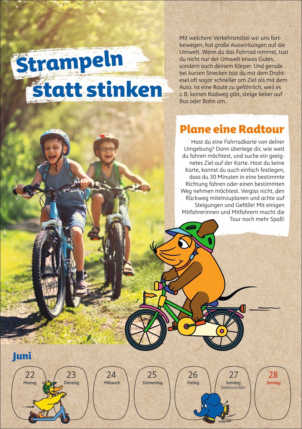 9783840037986_innenansicht_07.jpg