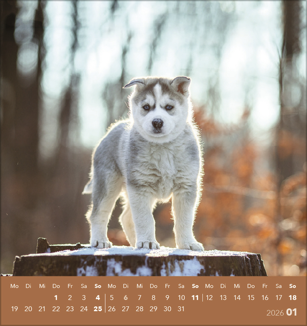 9783731884064_innenansicht_01 9783731884064_innenansicht_01.jpg