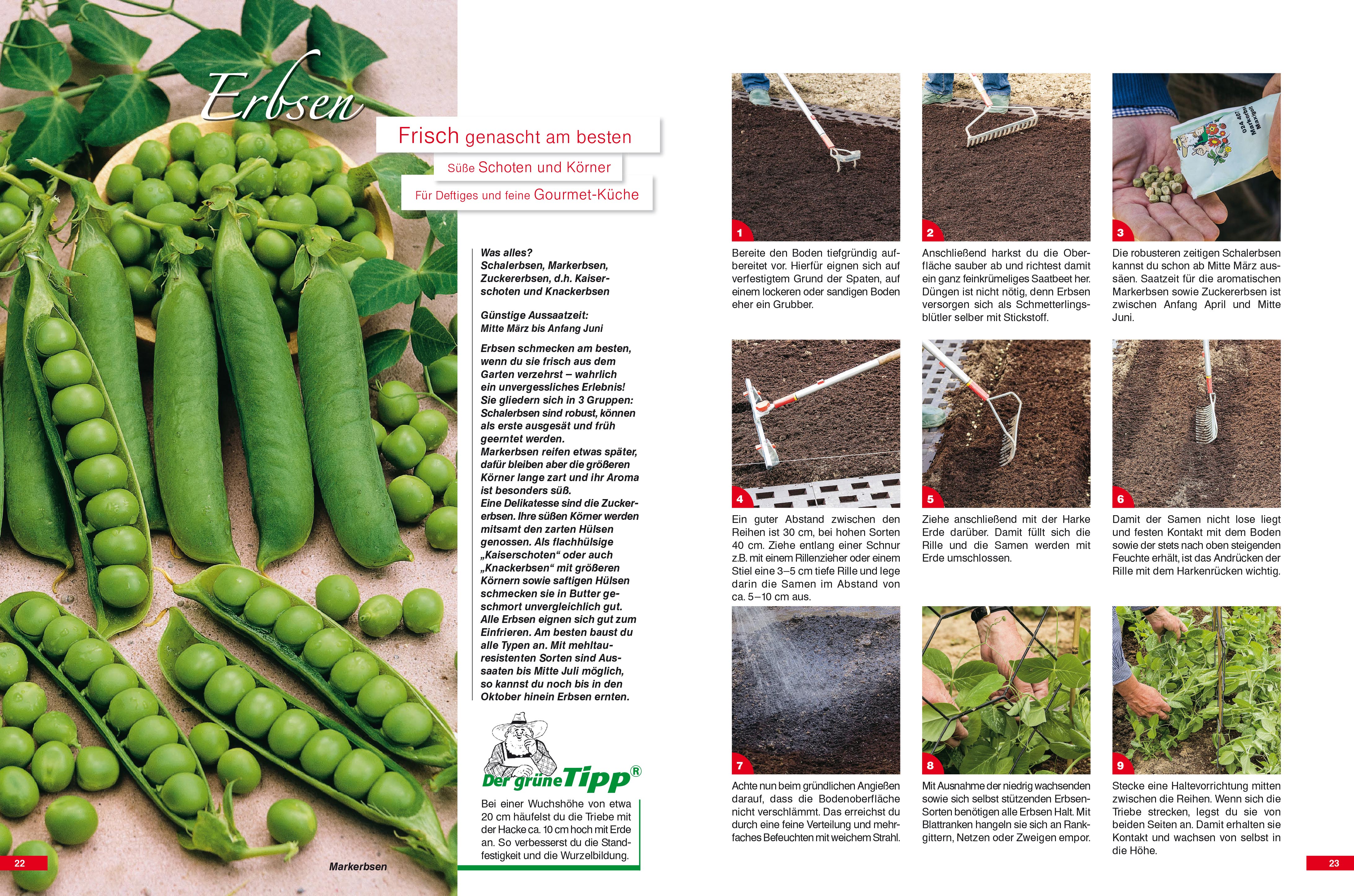 9783920362243_innenansicht_03 9783920362243_innenansicht_03.jpg