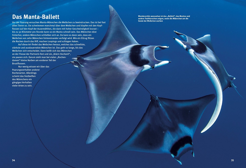 9783866595088_innenansicht_03 9783866595088_innenansicht_03.jpg