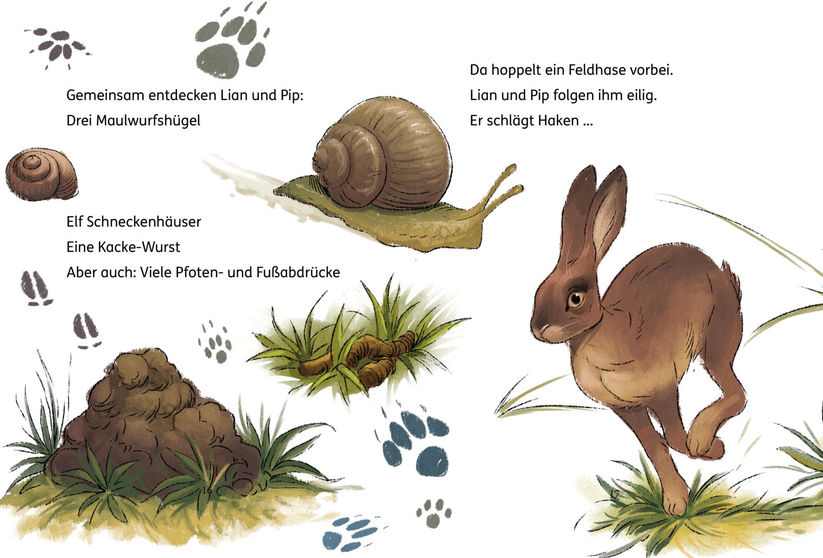 9783551691101_innenansicht_05.jpg