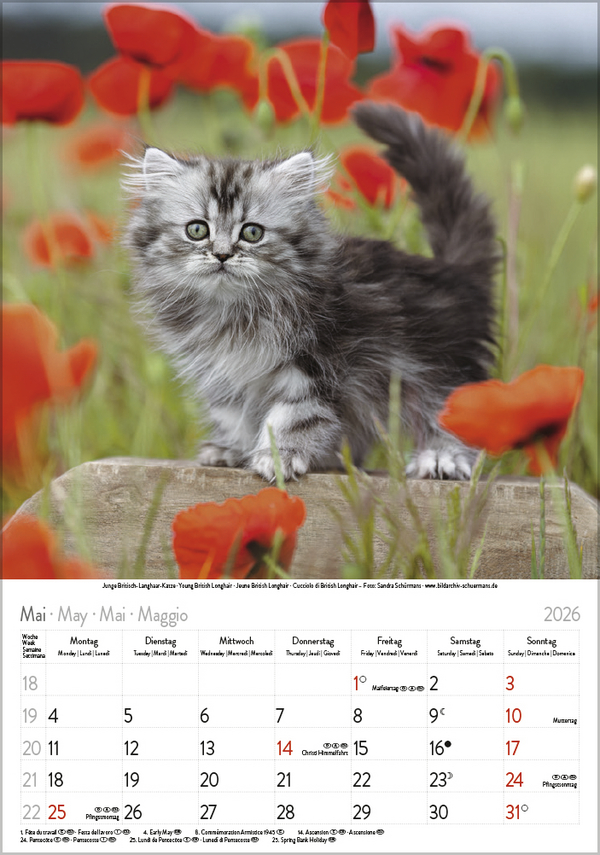 9783731883609_innenansicht_05 9783731883609_innenansicht_05.jpg