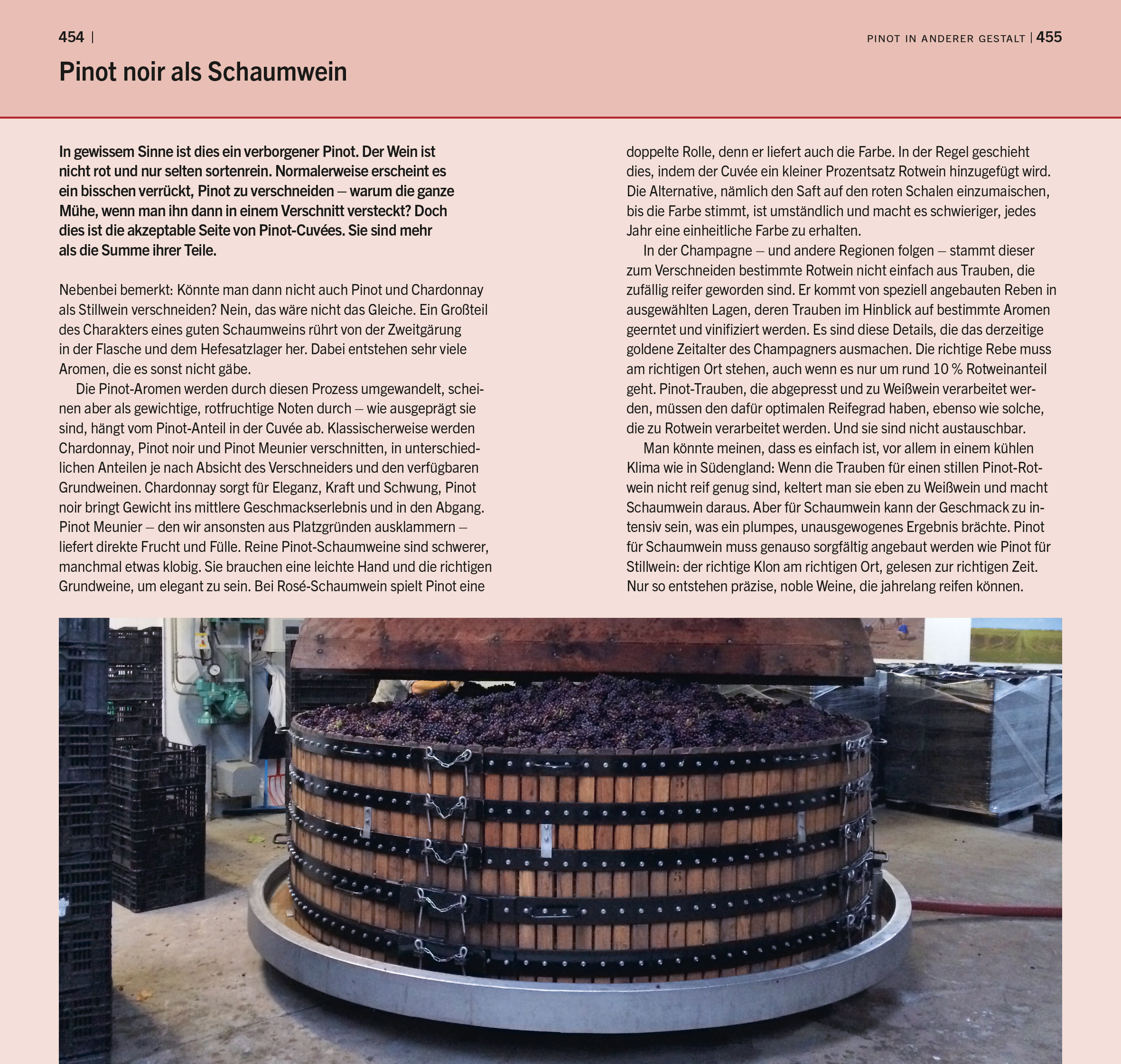 9783965844551_innenansicht_06 9783965844551_innenansicht_06.jpg