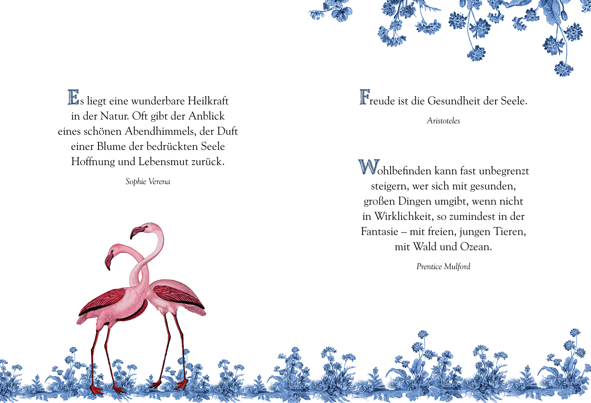 9783649650058_innenansicht_09.jpg