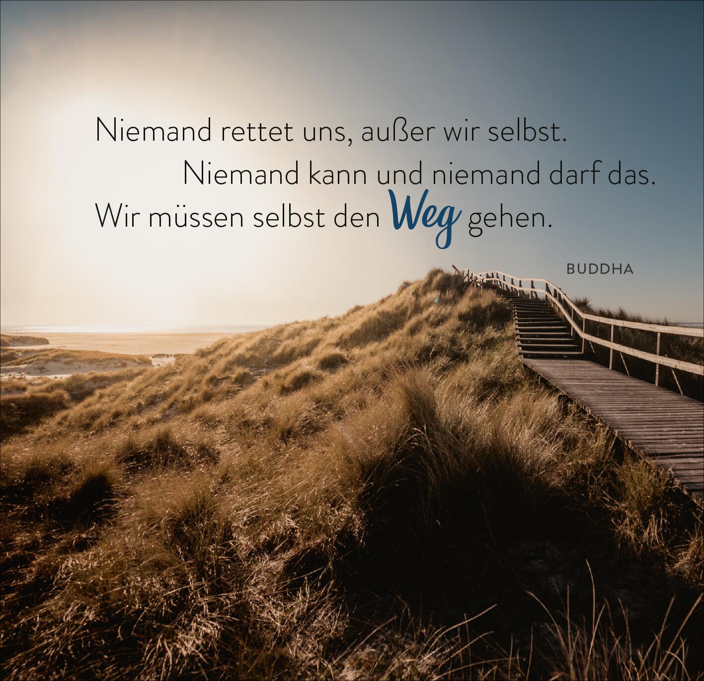 9783845860114_innenansicht_03.jpg